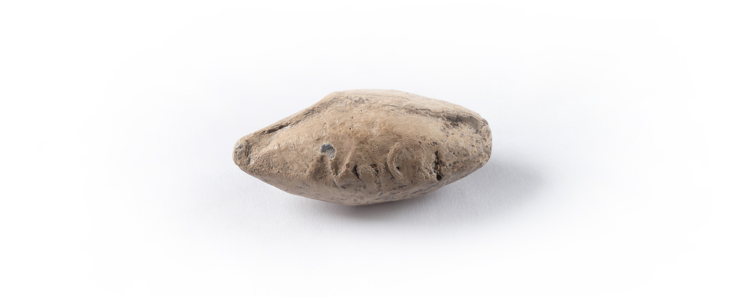 maia-progetto-interreg