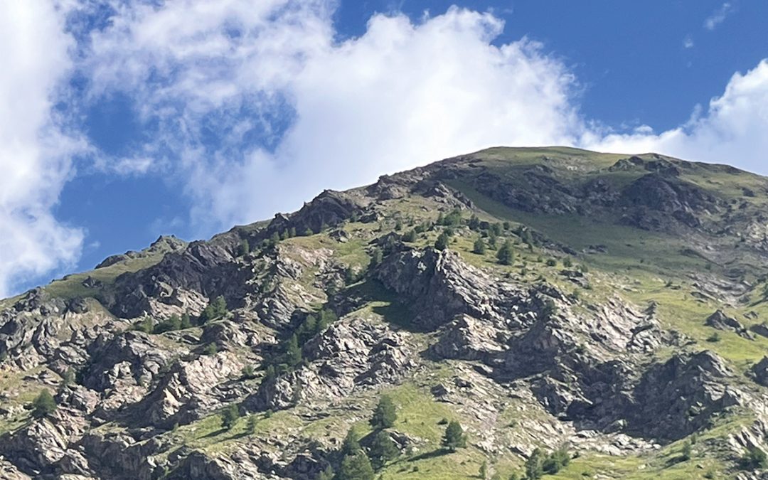 Invito Al Viaggio Maia