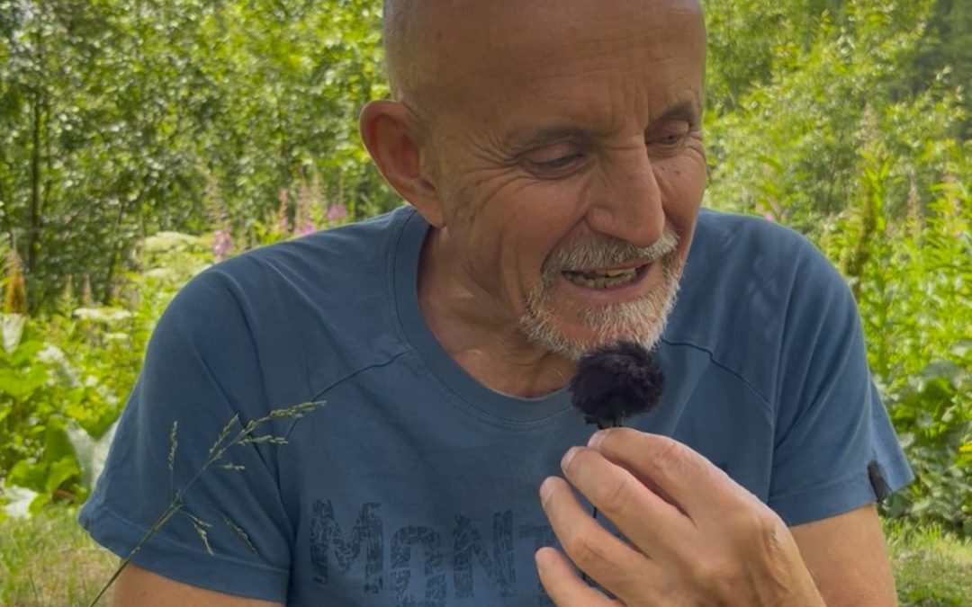 The Maia Project Cerderna